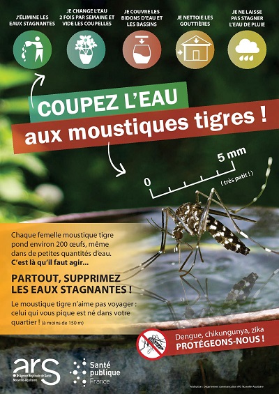 Moustique_tigre_2018_Niv_1_affiche_stop_moustiques - Copie