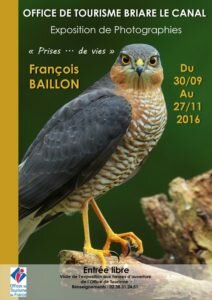 F. Baillon affiche expo